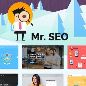 Mr. SEO – SEO