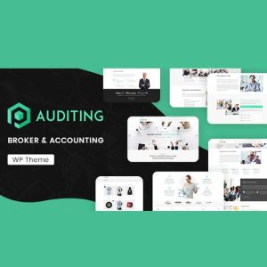 Auditing | Accounting Consultant